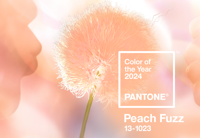 pantone 2024